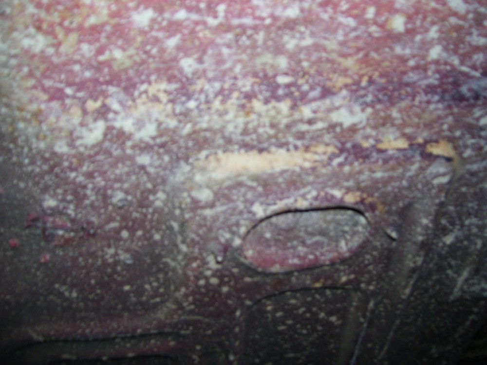 Used 1966 Ford Fairlane GTA 390- S Code-PRICED TO SELL-SEE VIDEOS | Mundelein, IL
