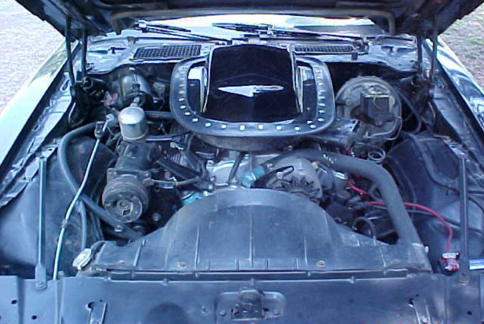 Used 1978 Pontiac Trans Am -T TOPS-400 Engine-Smokey & the Bandit Style-Low Miles- | Mundelein, IL