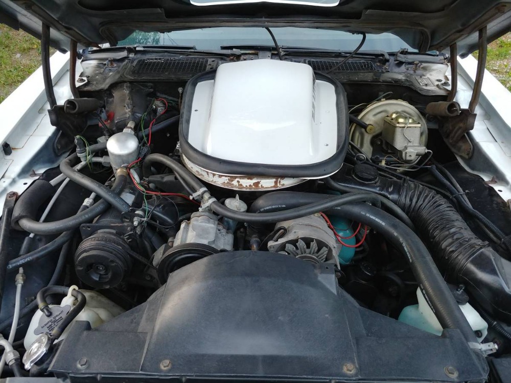 Used 1978 Chevrolet Trans Am -SUMMER HEAD TURNER | Mundelein, IL