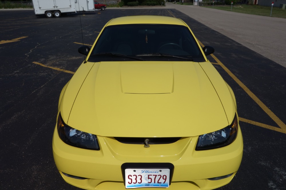Used 2001 Ford Mustang - COBRA- 4.6 L V8 - MAGNA FLOW EXHAUST- SEE VIDEO | Mundelein, IL