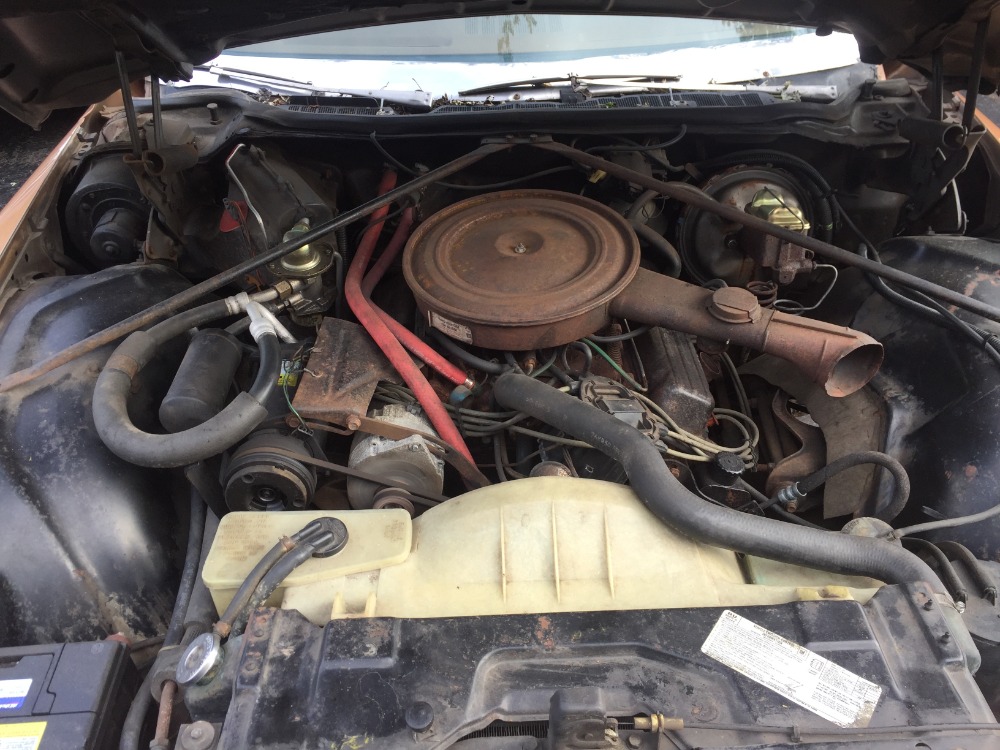 Used 1975 Buick LeSabre -CLEARANCE-DRIVER QUALITY CONVERTIBLE-ONE OWNER-MUST GO- | Mundelein, IL