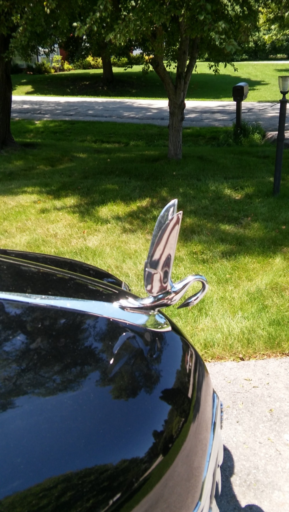 Used 1950 Packard Super 8 - RARE FULTON SUN VISOR AND CORMORANT ORNAMENT - | Mundelein, IL