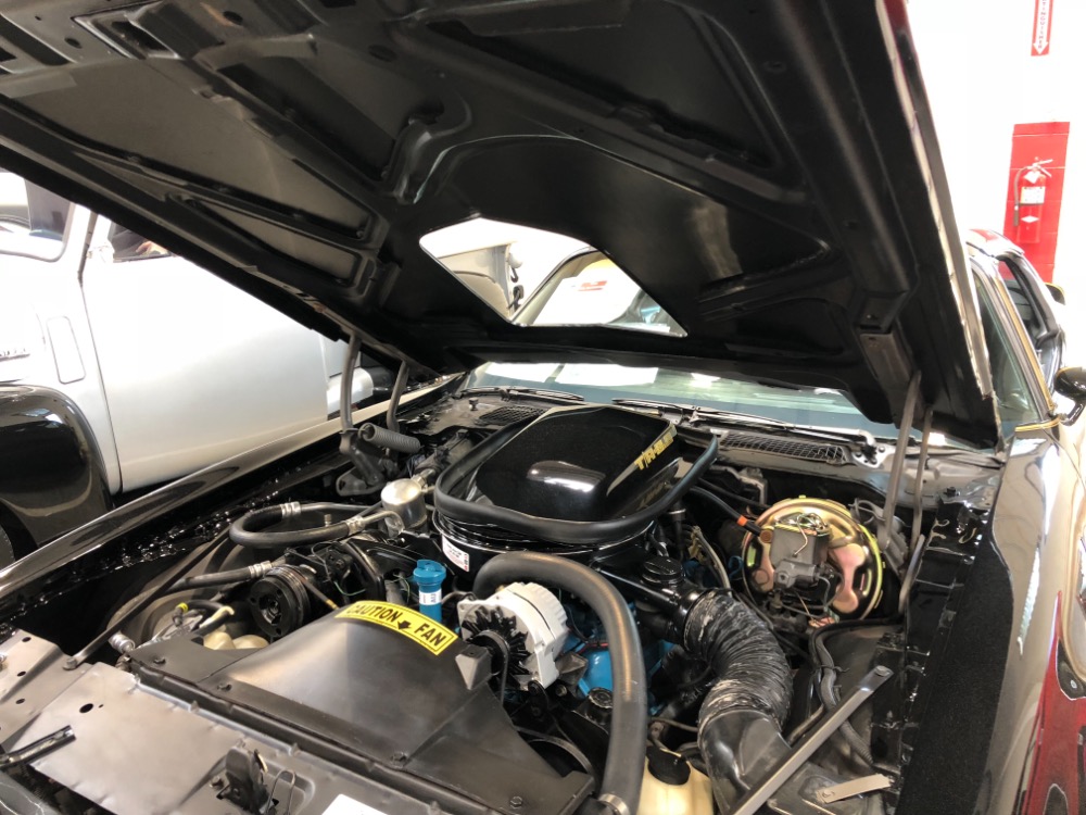 Used 1979 Pontiac Trans Am -BUILD SHEET-MINT CONDITION T TOPS-SOUTHERN 1 OWNER BIRD- | Mundelein, IL