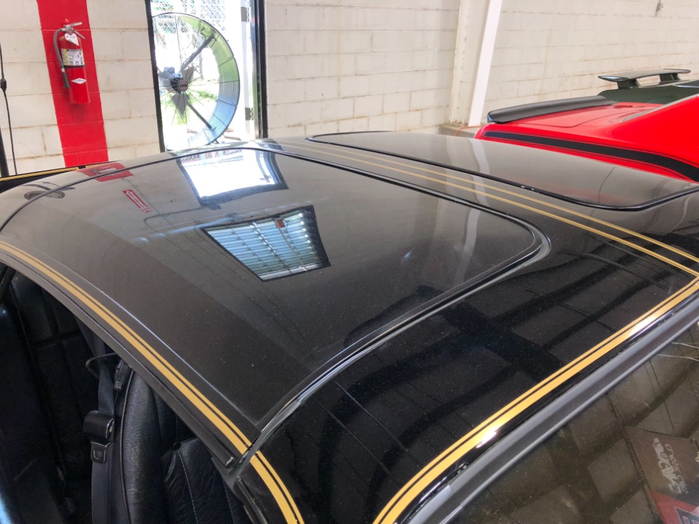 Used 1979 Pontiac Trans Am -BUILD SHEET-MINT CONDITION T TOPS-SOUTHERN 1 OWNER BIRD- | Mundelein, IL