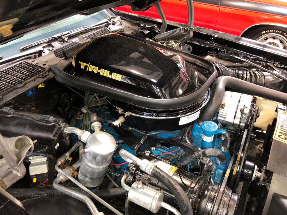 79 t bird for sale 79 t bird for sale