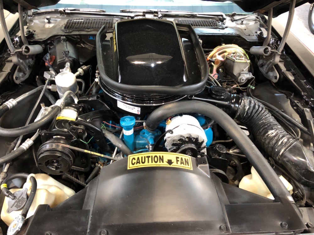 Used 1979 Pontiac Trans Am -BUILD SHEET-MINT CONDITION T TOPS-SOUTHERN 1 OWNER BIRD- | Mundelein, IL
