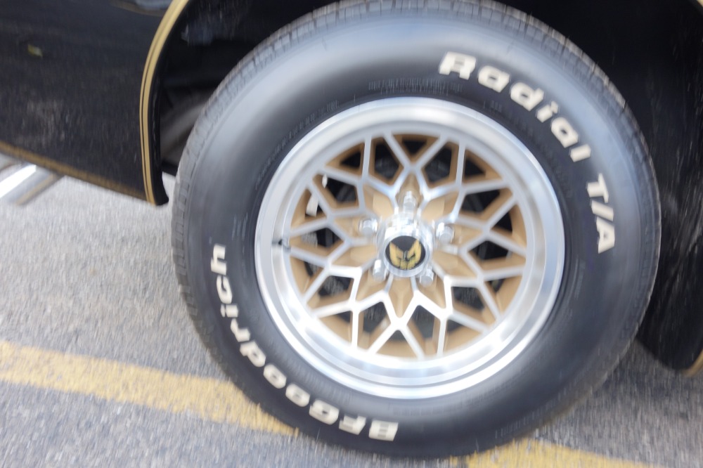 Used 1979 Pontiac Firebird -TRANS AM-BUILD SHEET-1 OWNER HIGH QUALITY PAINT- | Mundelein, IL
