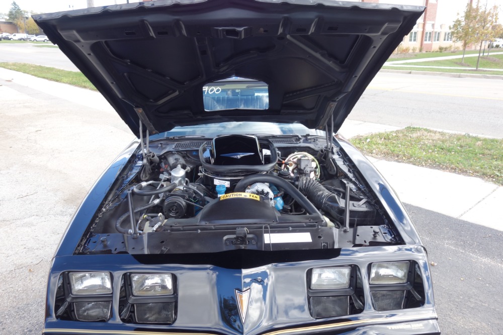 Used 1979 Pontiac Firebird -TRANS AM-BUILD SHEET-1 OWNER HIGH QUALITY PAINT- | Mundelein, IL