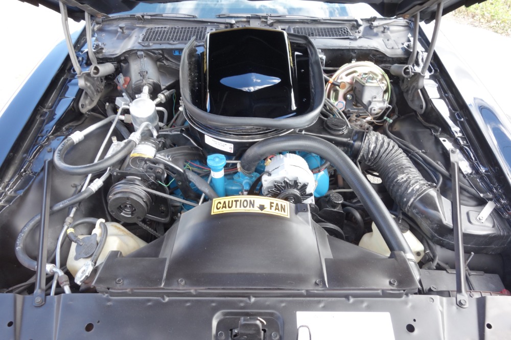 Used 1979 Pontiac Firebird -TRANS AM-BUILD SHEET-1 OWNER HIGH QUALITY PAINT- | Mundelein, IL
