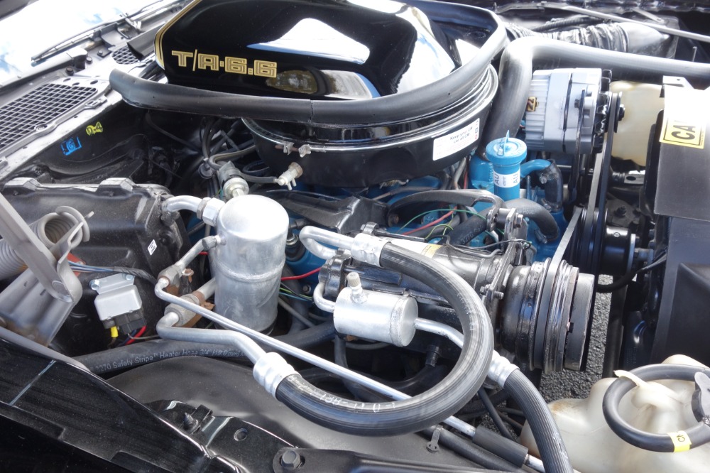 Used 1979 Pontiac Firebird -TRANS AM-BUILD SHEET-1 OWNER HIGH QUALITY PAINT- | Mundelein, IL