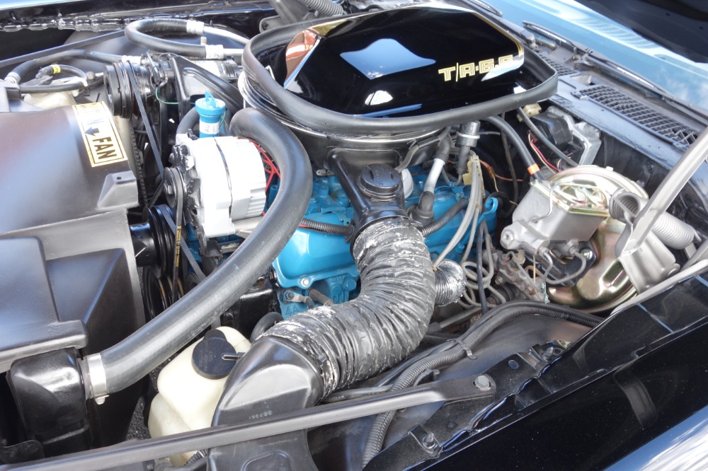Used 1979 Pontiac Firebird -TRANS AM-BUILD SHEET-1 OWNER HIGH QUALITY PAINT- | Mundelein, IL