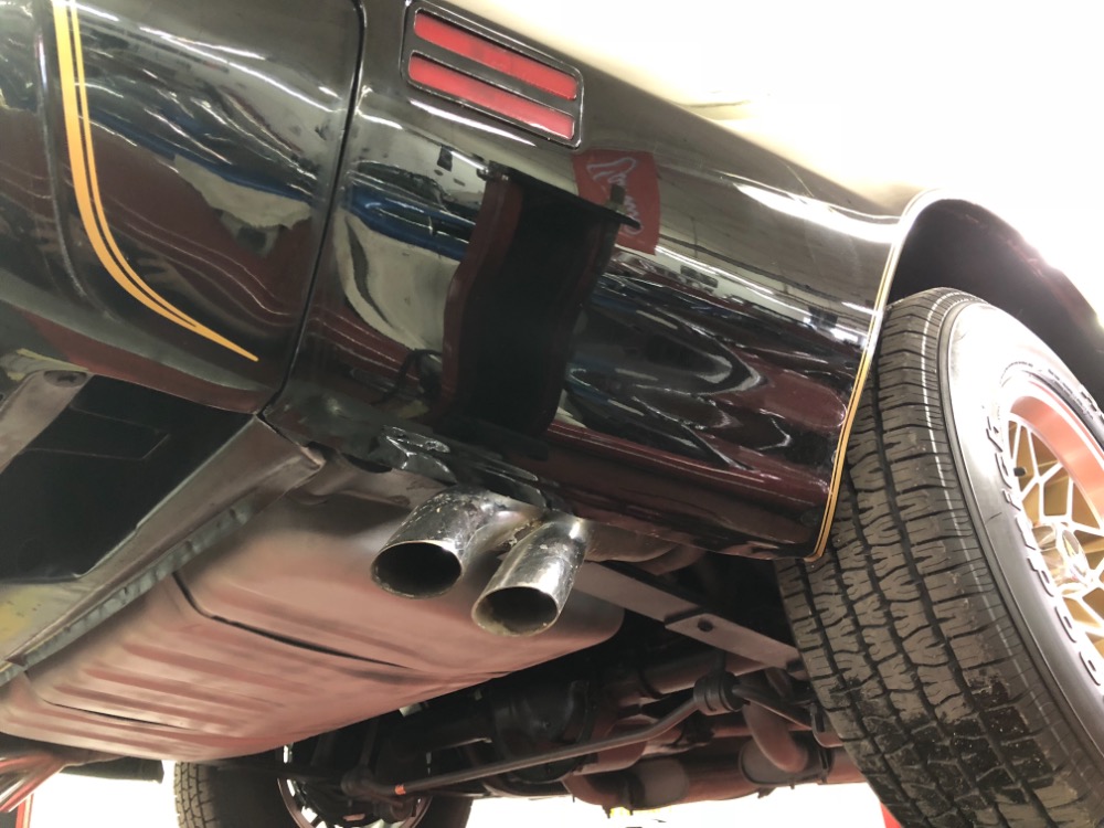 Used 1979 Pontiac Firebird -TRANS AM-BUILD SHEET-1 OWNER HIGH QUALITY PAINT- | Mundelein, IL