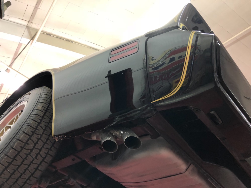 Used 1979 Pontiac Firebird -TRANS AM-BUILD SHEET-1 OWNER HIGH QUALITY PAINT- | Mundelein, IL
