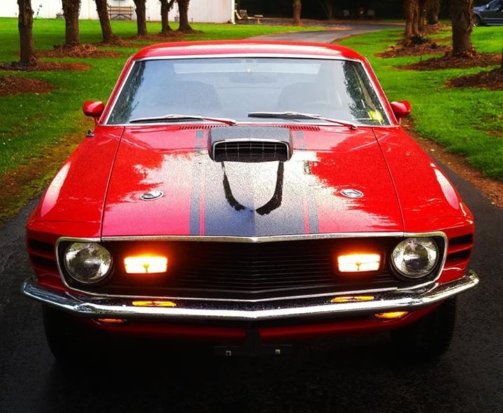 Used 1970 Ford Mustang - MACH 1 - 351/ AUTO - BUILD SHEET -SEE VIDEO | Mundelein, IL