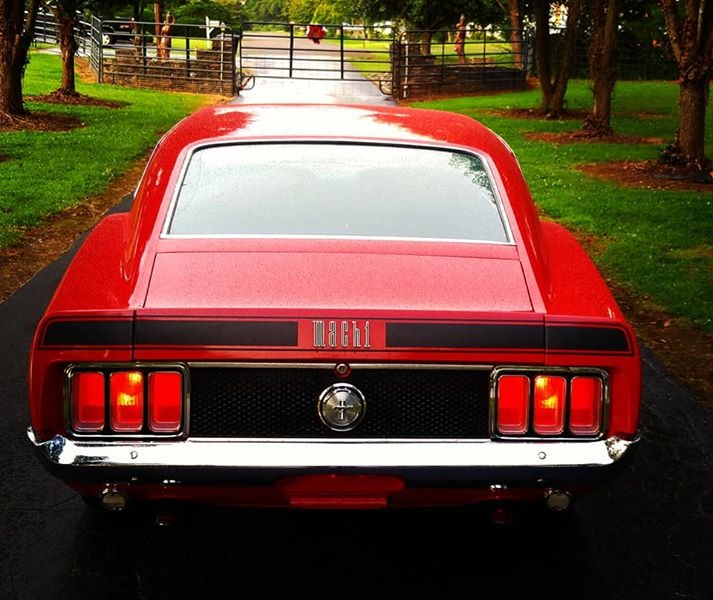 Used 1970 Ford Mustang - MACH 1 - 351/ AUTO - BUILD SHEET -SEE VIDEO | Mundelein, IL