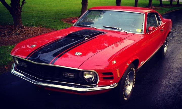 Used 1970 Ford Mustang - MACH 1 - 351/ AUTO - BUILD SHEET -SEE VIDEO | Mundelein, IL