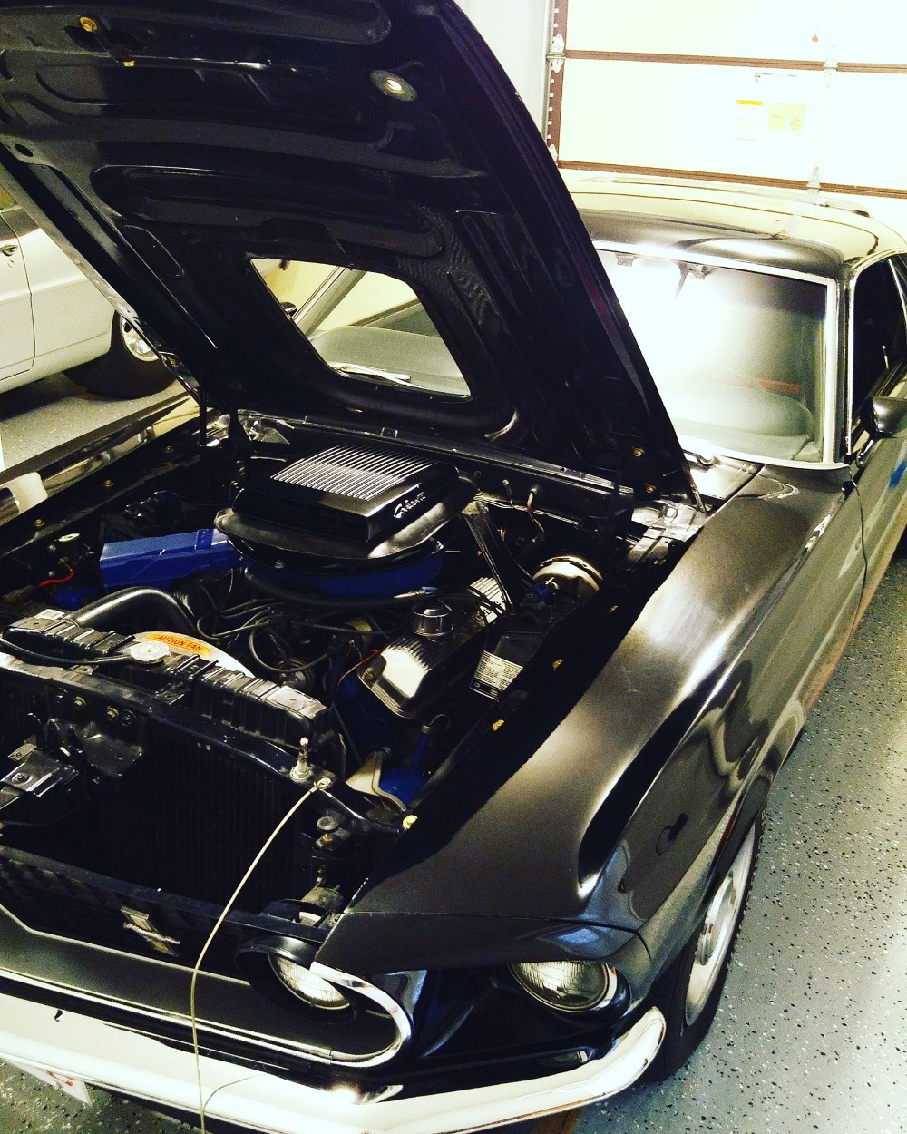 Used 1969 Ford Mustang -MACH 1-FACTORY R CODE COBRA JET 428-DULUXE MARTI REPORT | Mundelein, IL