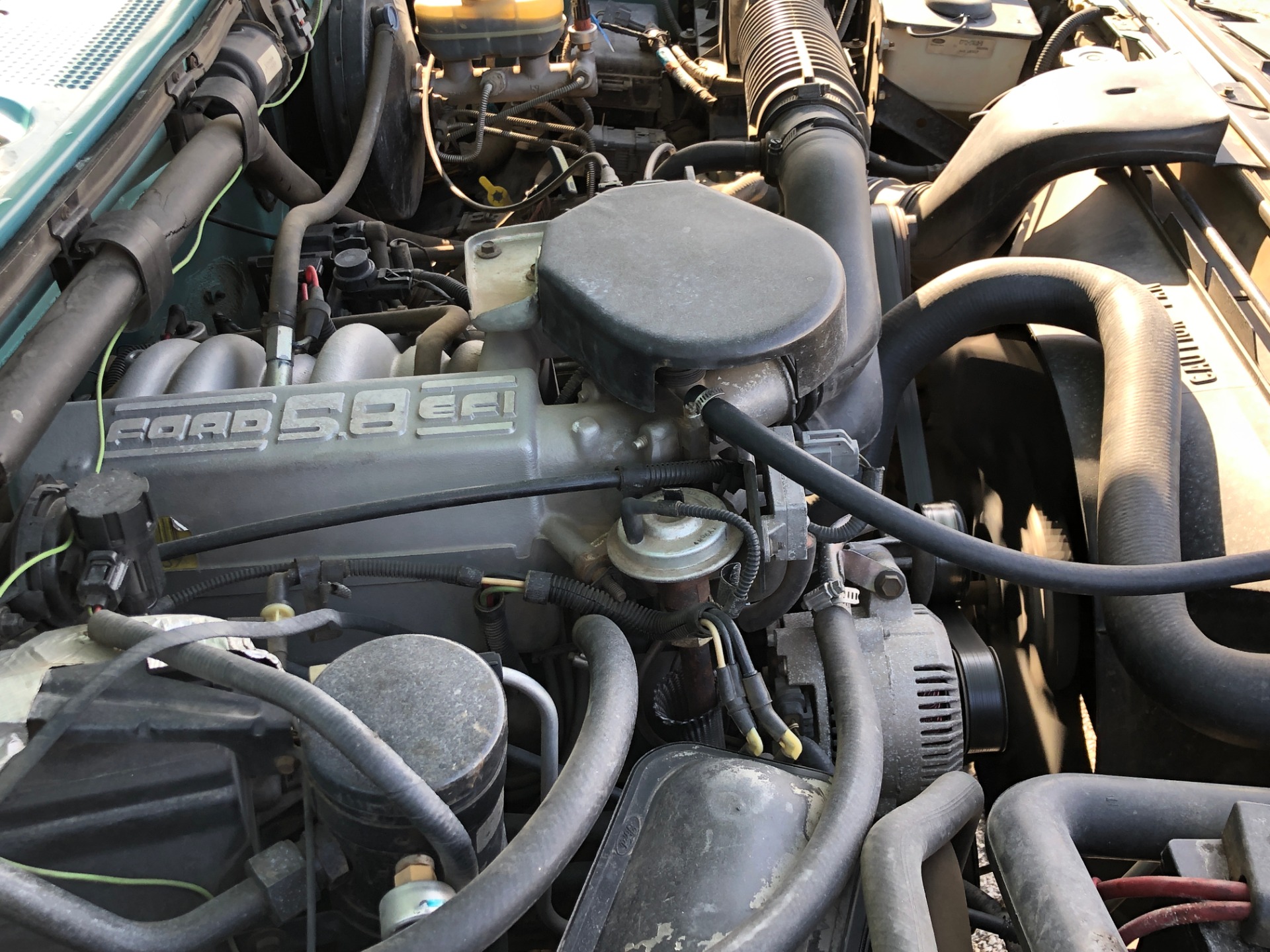 Used 1995 Ford Bronco -XLT SPORT-4x4-ARIZONA RUST FREE-ORIGINAL PAINT-VIDEO | Mundelein, IL