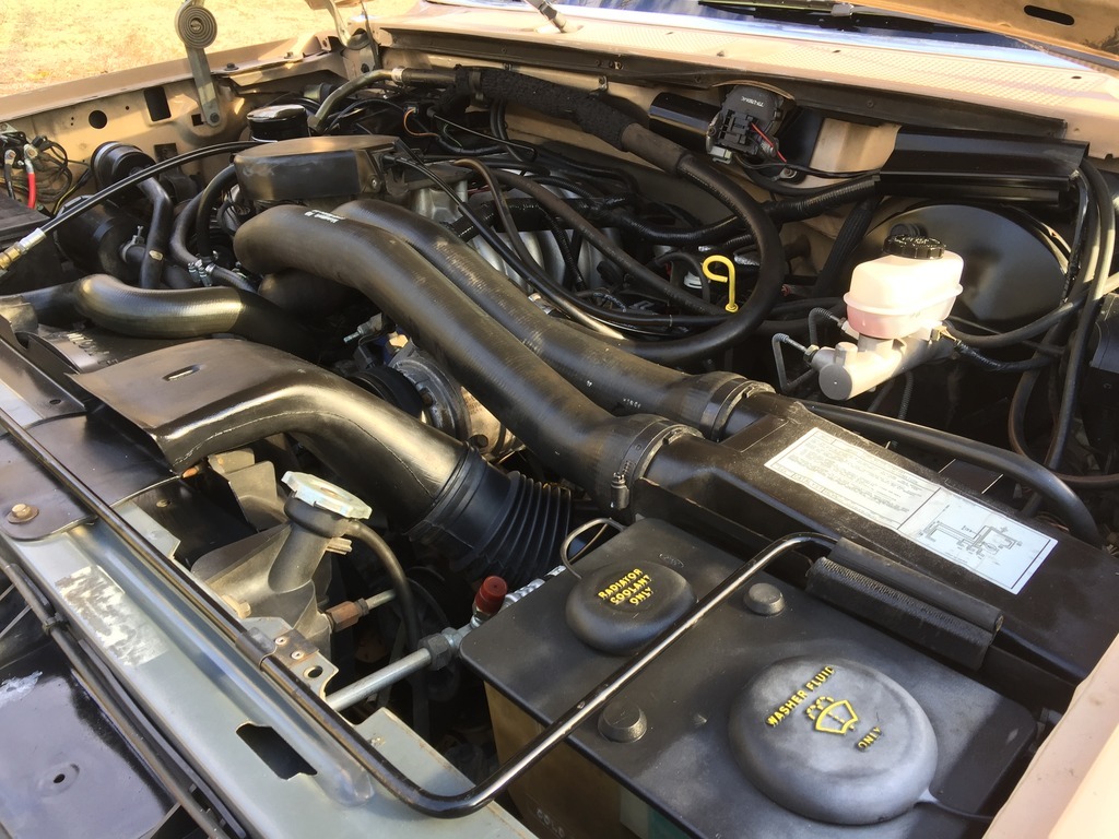 Used 1988 Ford Bronco XLT- ORIGINAL PAINT- ARIZONA SUV- | Mundelein, IL