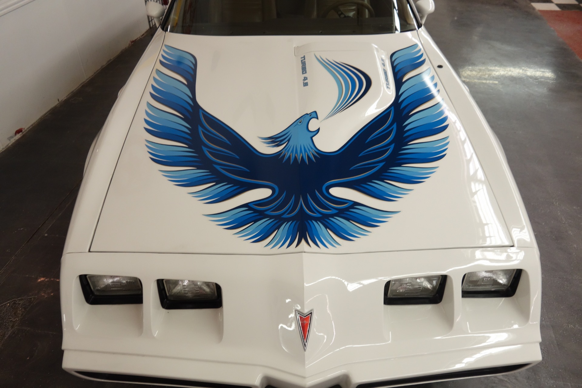 Used 1981 Pontiac Trans Am -TURBO COUPE-ONLY 9662 BUILT-T TOPS-CALIFORNIA CAR-VIDEO | Mundelein, IL