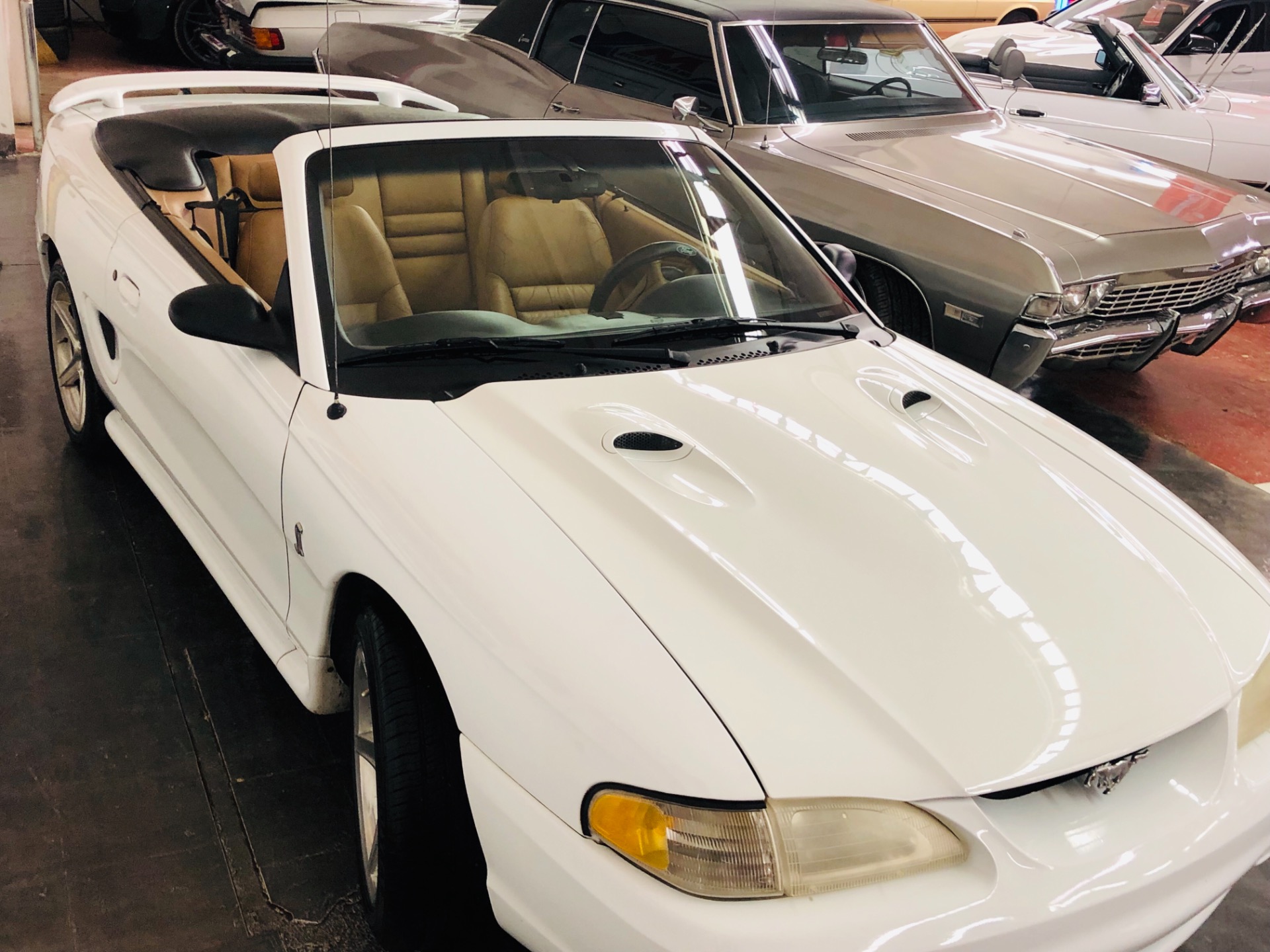 Used 1998 Ford Mustang -COBRA-CONVERTIBLE FROM ARIZONA-VIDEO | Mundelein, IL