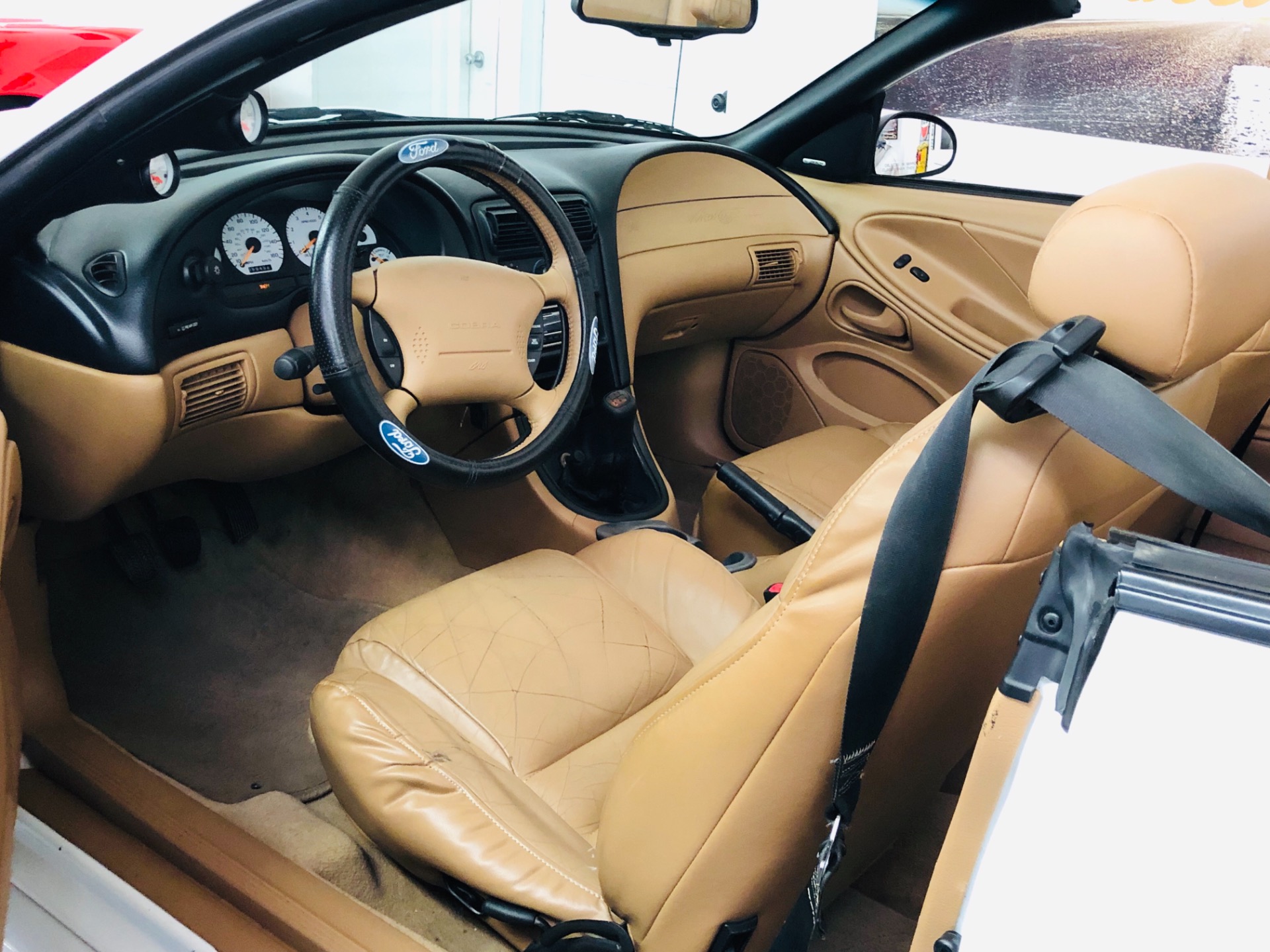 Used 1998 Ford Mustang -COBRA-CONVERTIBLE FROM ARIZONA-VIDEO | Mundelein, IL