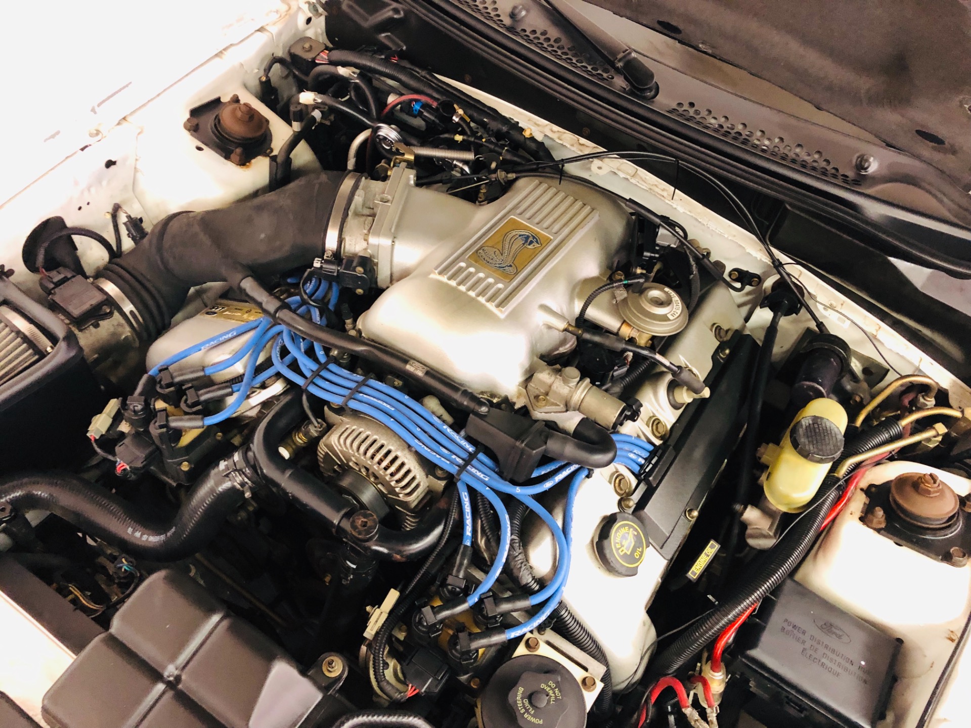 Used 1998 Ford Mustang -COBRA-CONVERTIBLE FROM ARIZONA-VIDEO | Mundelein, IL