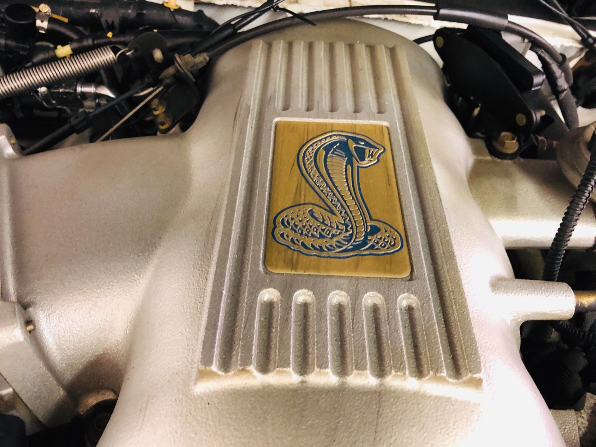 Used 1998 Ford Mustang -COBRA-CONVERTIBLE FROM ARIZONA-VIDEO | Mundelein, IL