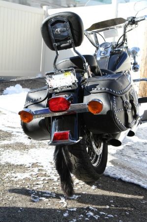 Used 2006 Harley Davidson Heritage Softail Classic | Mundelein, IL
