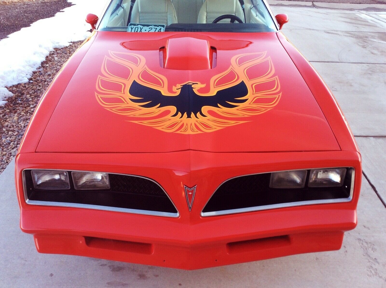 Used 1978 Pontiac Firebird -SOUTHERN COLORADO VEHICLE-SNOWFLAKE WHEELS- | Mundelein, IL