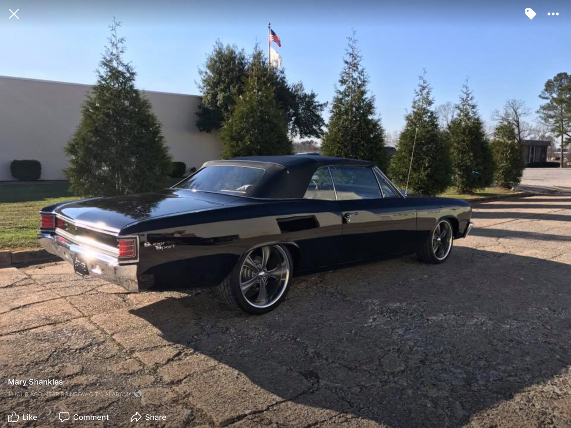 Used 1967 Chevrolet Chevelle -RESTORED-PRO TOUR-4 WHEEL DISC-700R4-454 ENGINE- | Mundelein, IL