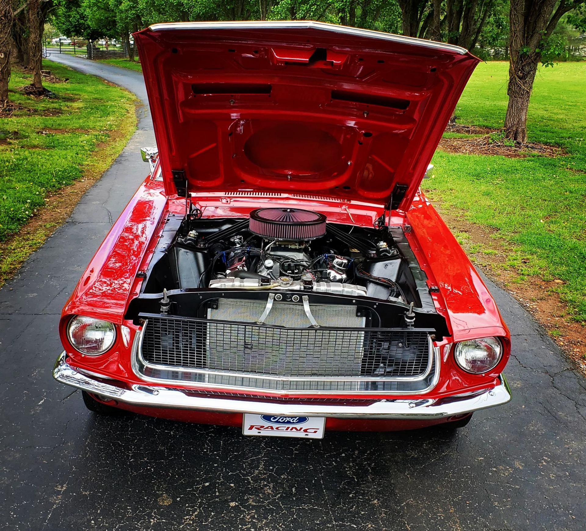 Used 1967 Ford Mustang -FASTBACK-4 SPEED-RESTORED-BUILT MUSCLE CAR- | Mundelein, IL