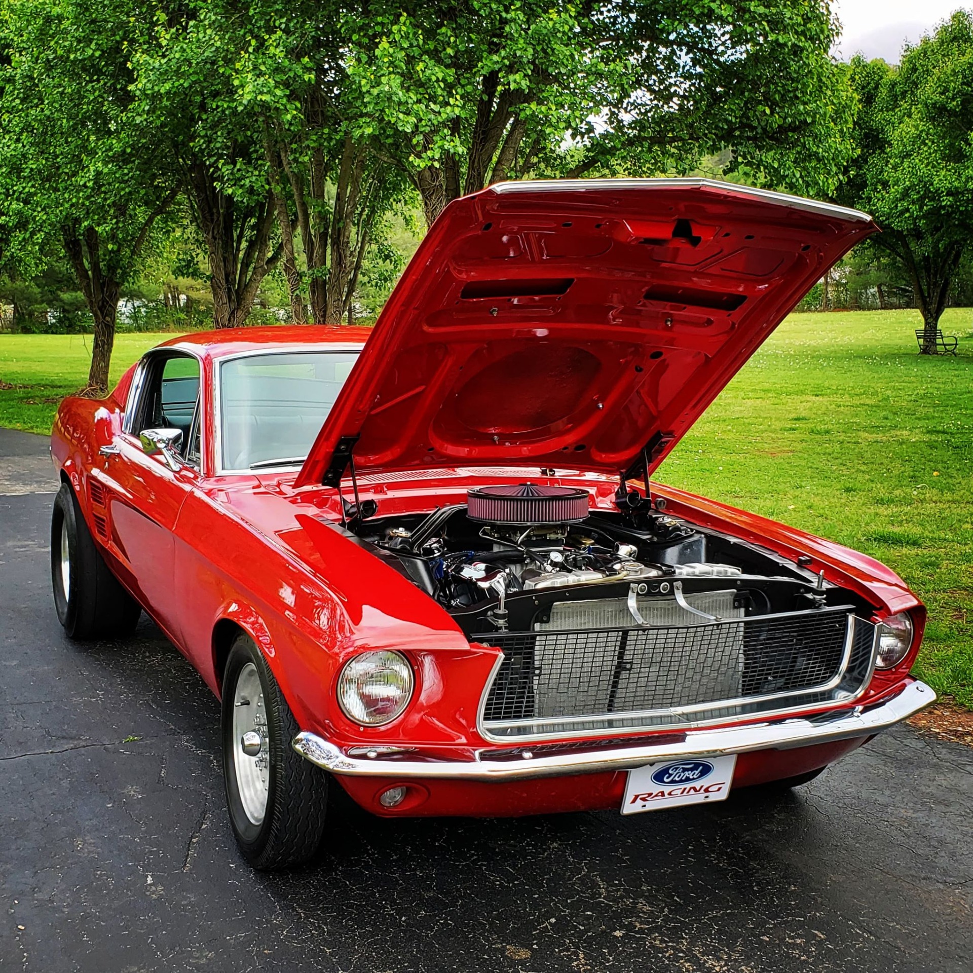 Used 1967 Ford Mustang -FASTBACK-4 SPEED-RESTORED-BUILT MUSCLE CAR- | Mundelein, IL