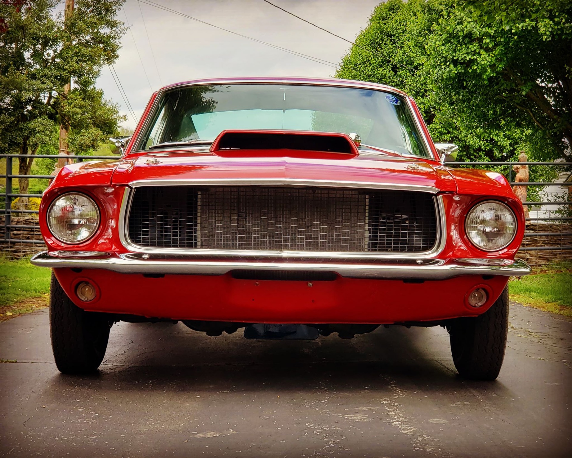 Used 1967 Ford Mustang -FASTBACK-4 SPEED-RESTORED-BUILT MUSCLE CAR- | Mundelein, IL