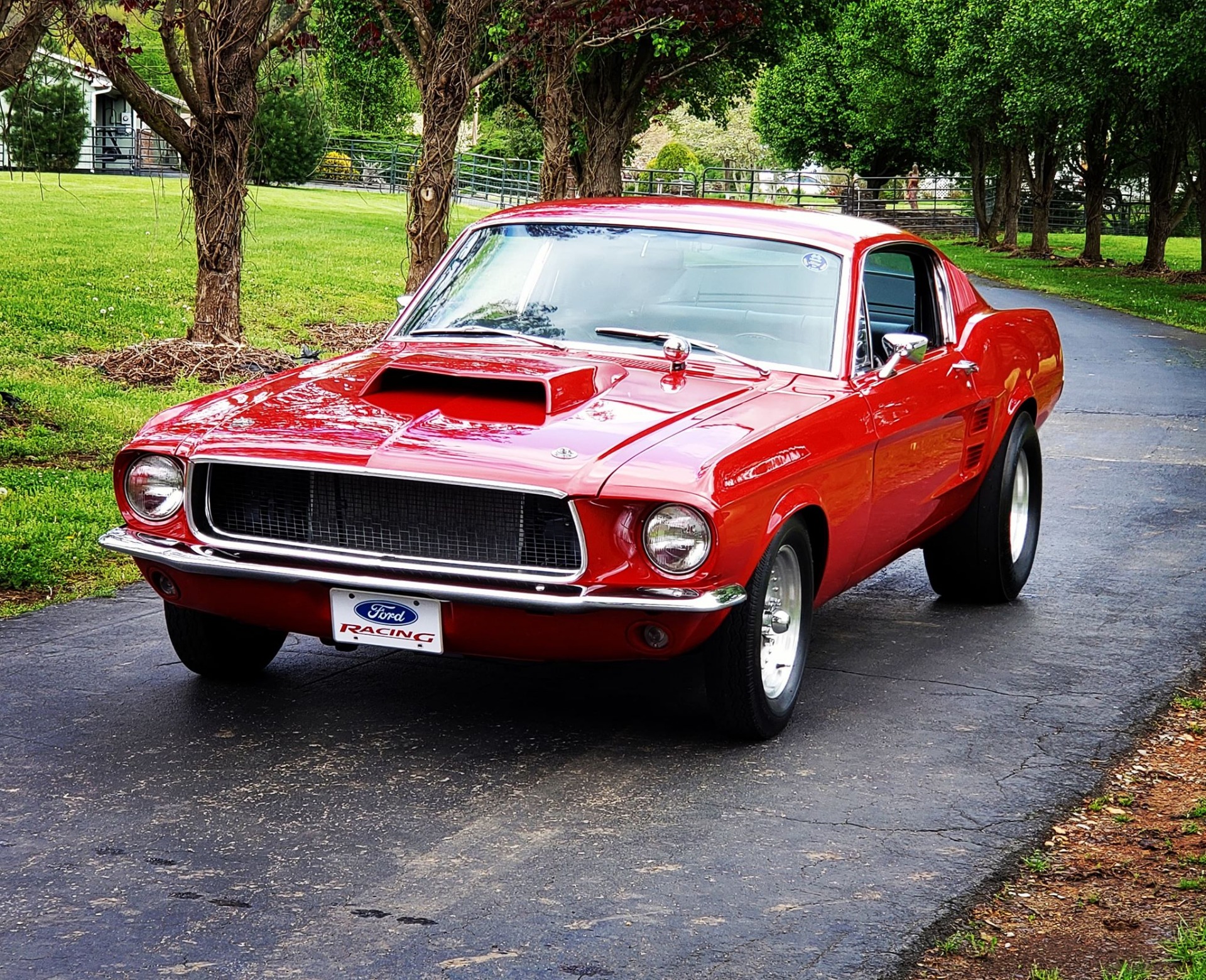 Used 1967 Ford Mustang -FASTBACK-4 SPEED-RESTORED-BUILT MUSCLE CAR- | Mundelein, IL