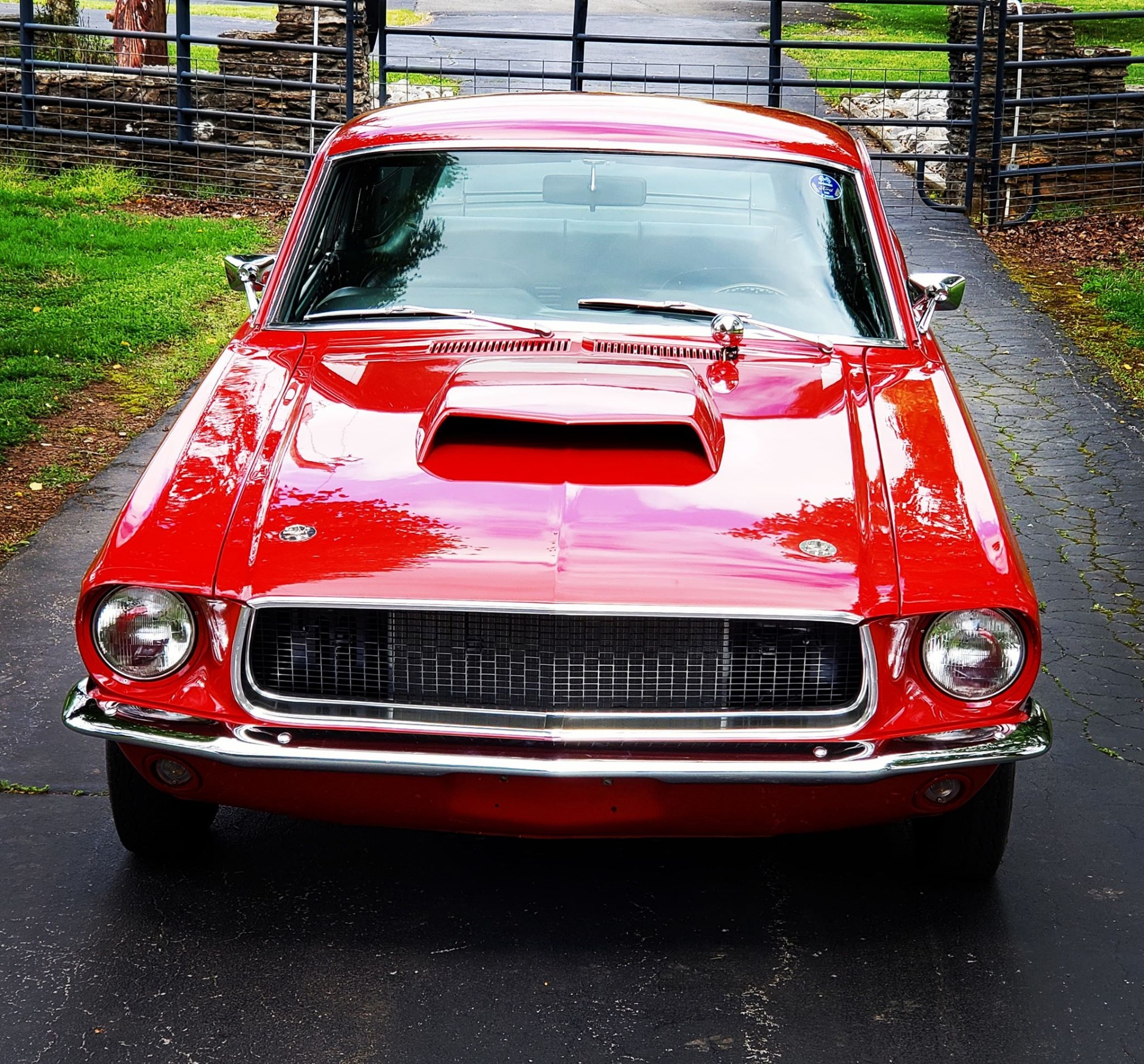 Used 1967 Ford Mustang -FASTBACK-4 SPEED-RESTORED-BUILT MUSCLE CAR- | Mundelein, IL