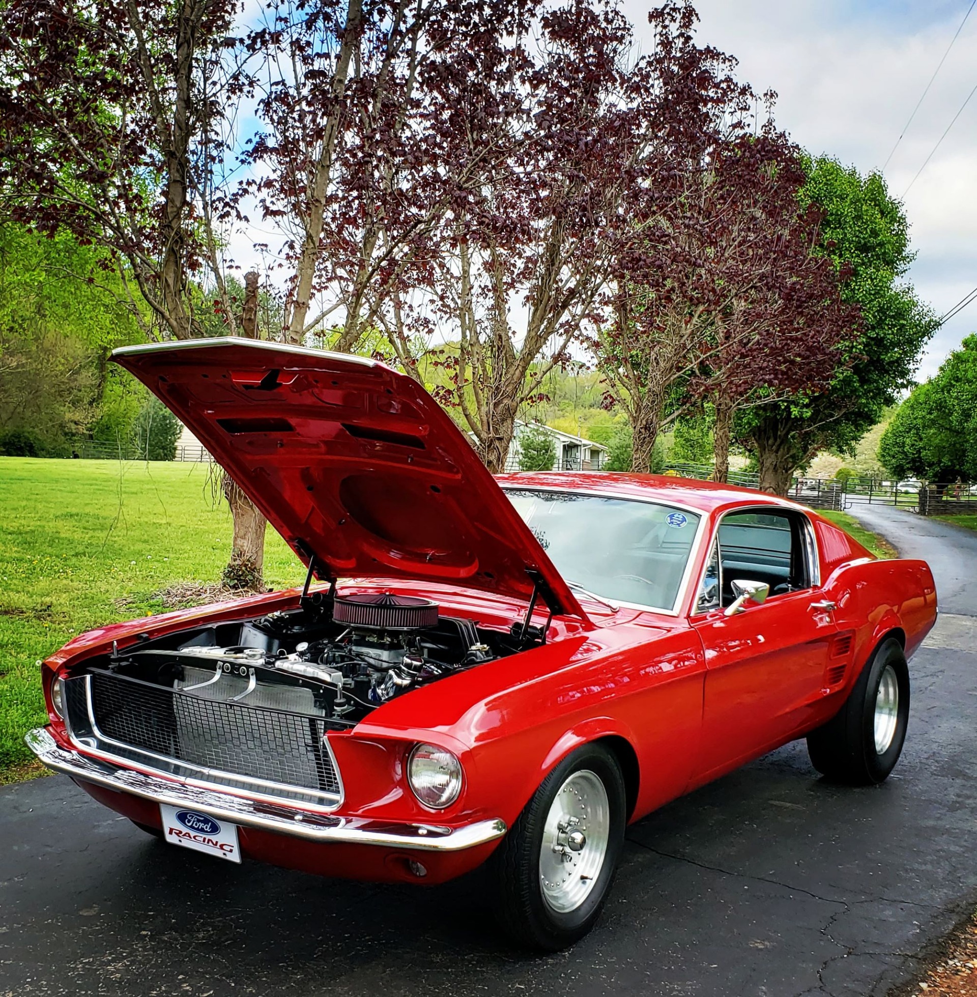 Used 1967 Ford Mustang -FASTBACK-4 SPEED-RESTORED-BUILT MUSCLE CAR- | Mundelein, IL