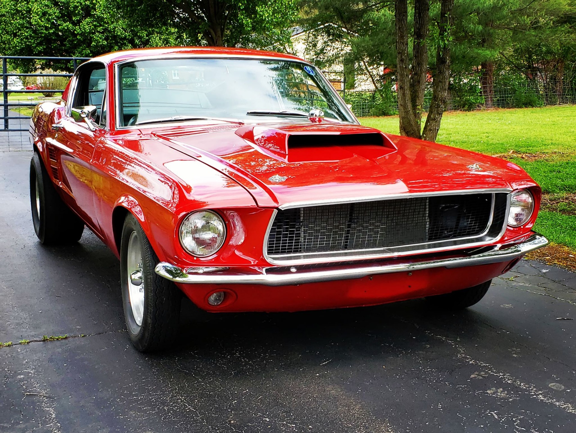 Used 1967 Ford Mustang -FASTBACK-4 SPEED-RESTORED-BUILT MUSCLE CAR- | Mundelein, IL