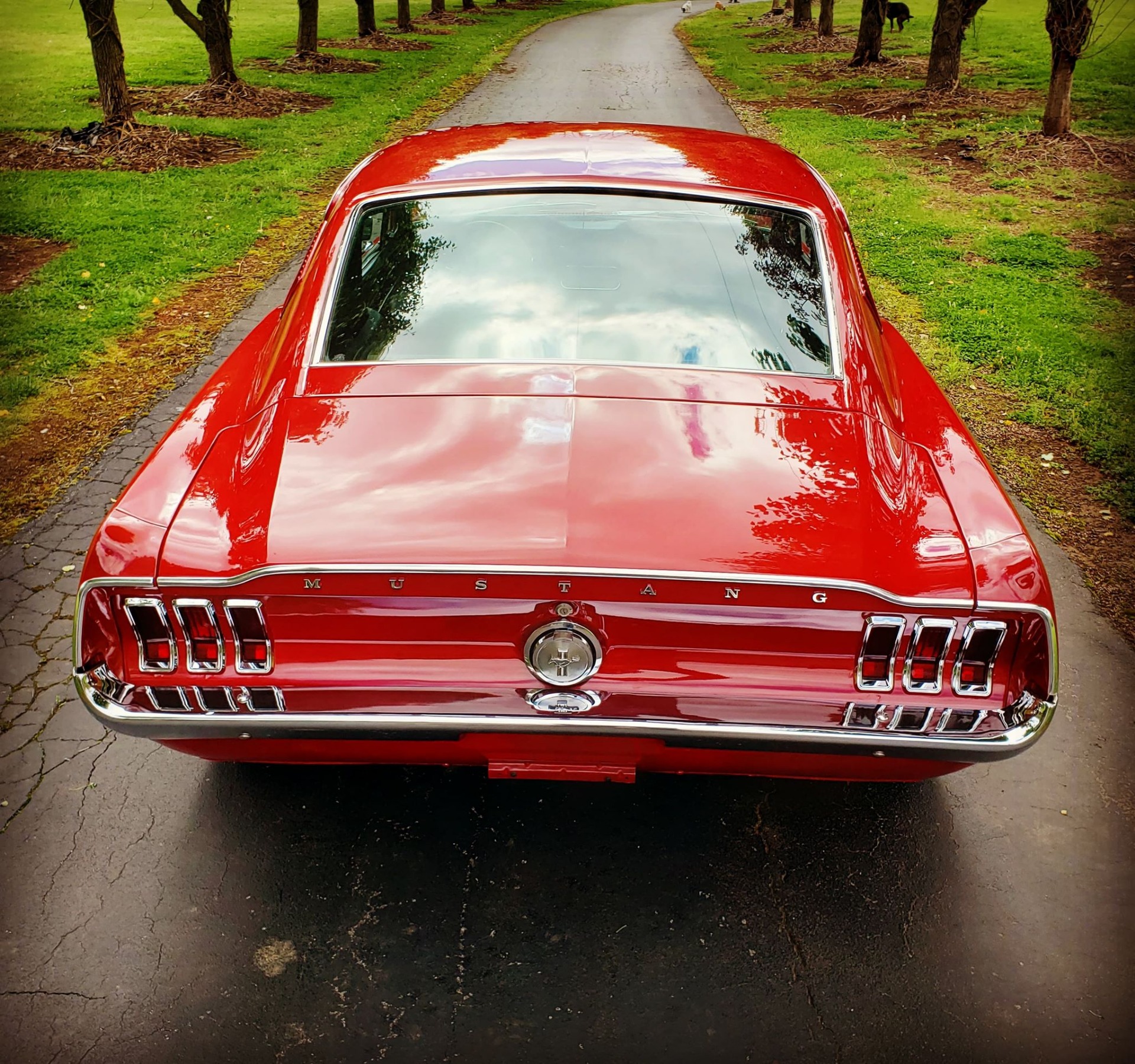 Used 1967 Ford Mustang -FASTBACK-4 SPEED-RESTORED-BUILT MUSCLE CAR- | Mundelein, IL