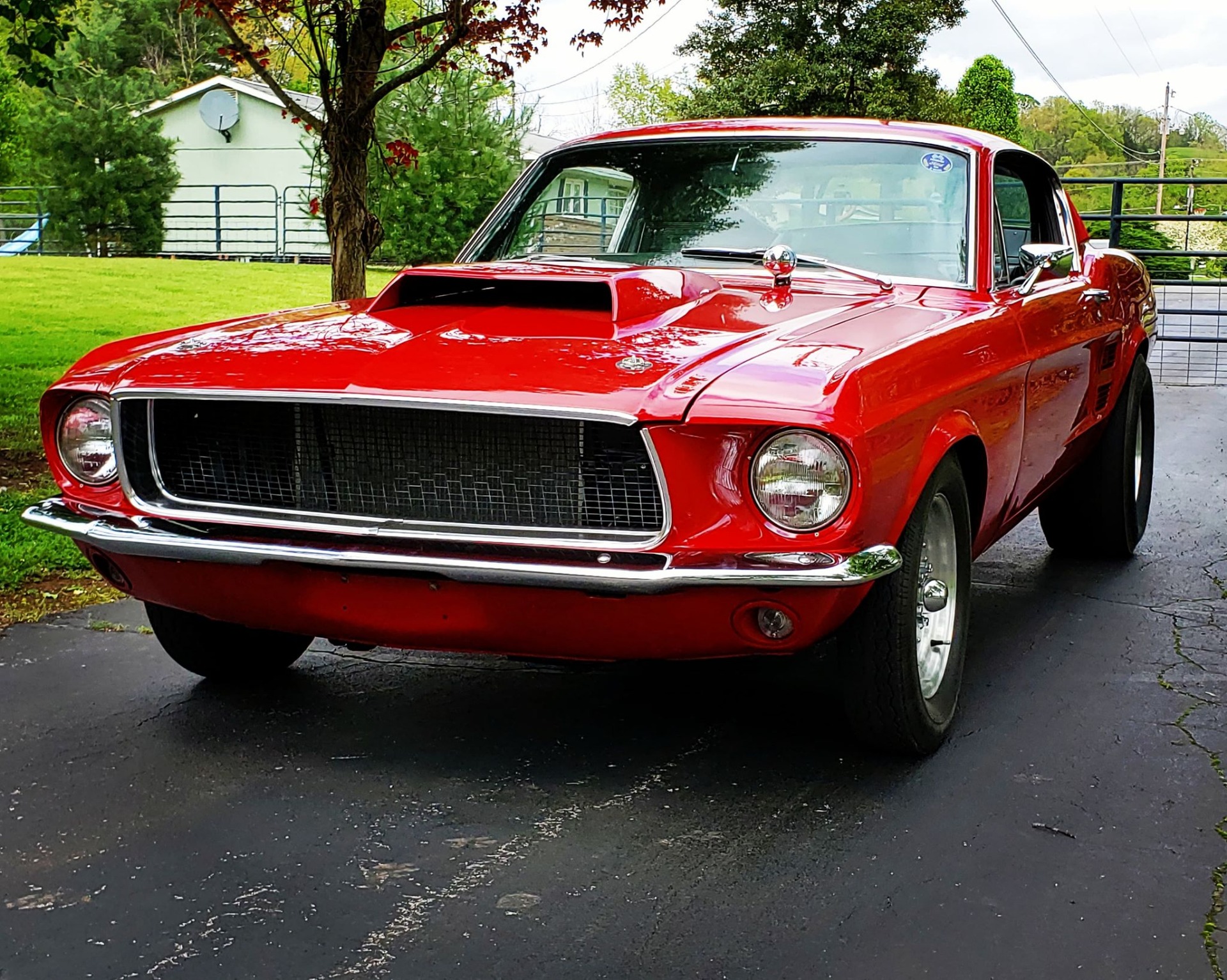 Used 1967 Ford Mustang -FASTBACK-4 SPEED-RESTORED-BUILT MUSCLE CAR- | Mundelein, IL