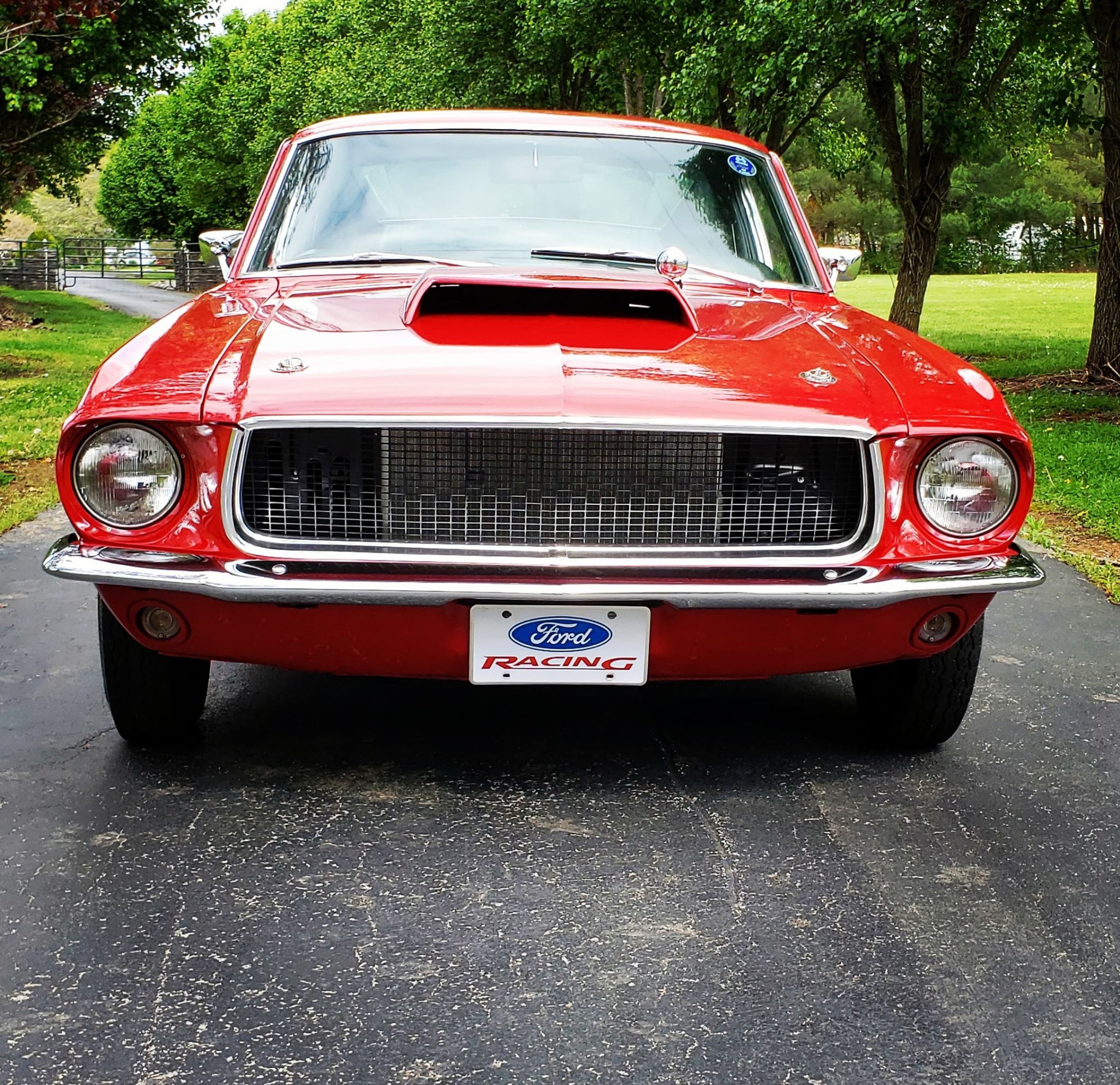Used 1967 Ford Mustang -FASTBACK-4 SPEED-RESTORED-BUILT MUSCLE CAR- | Mundelein, IL