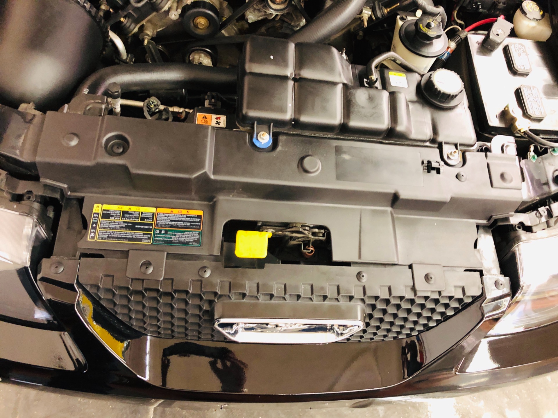Used 2002 Ford Mustang GT Deluxe | Mundelein, IL