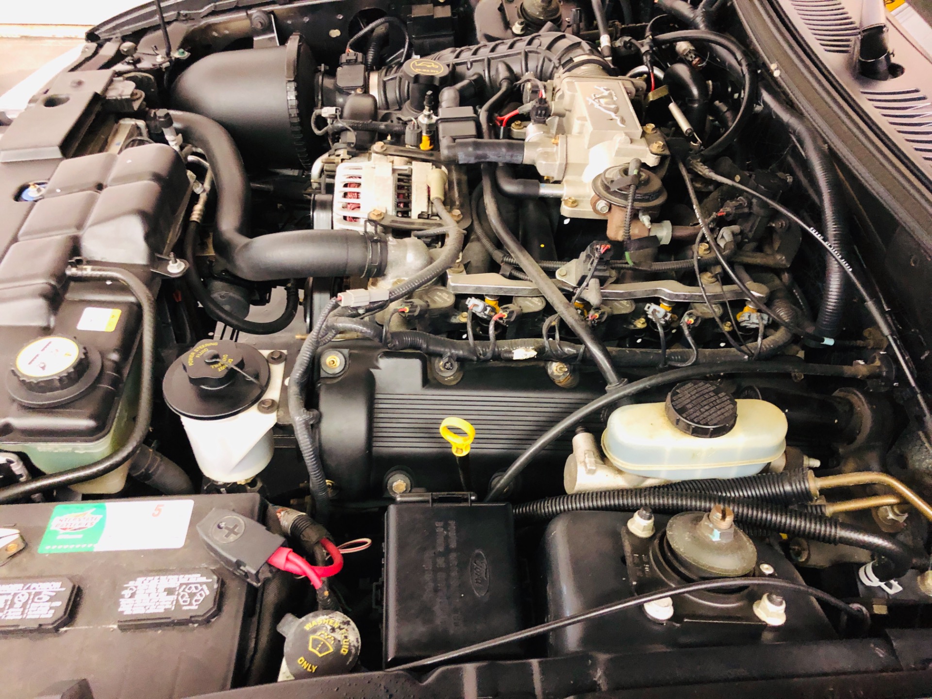 Used 2002 Ford Mustang GT Deluxe | Mundelein, IL