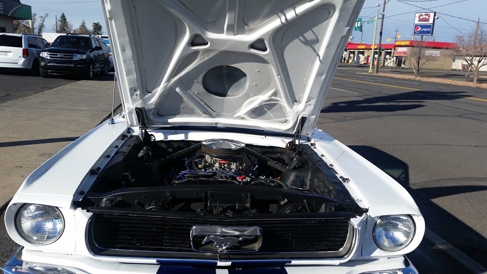 Used 1966 Ford Mustang -RACING STRIPES 289 ENGINE-4 SPEED- | Mundelein, IL