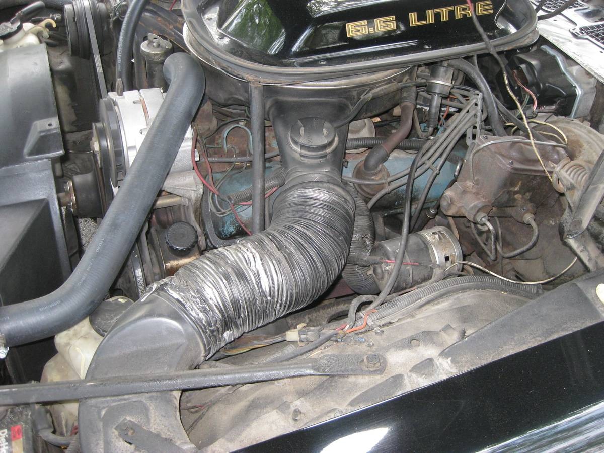 Used 1979 Pontiac TRANS AM -ONE OWNER GEM-FACTORY BLACK BIRD- | St. Petersburg, FL