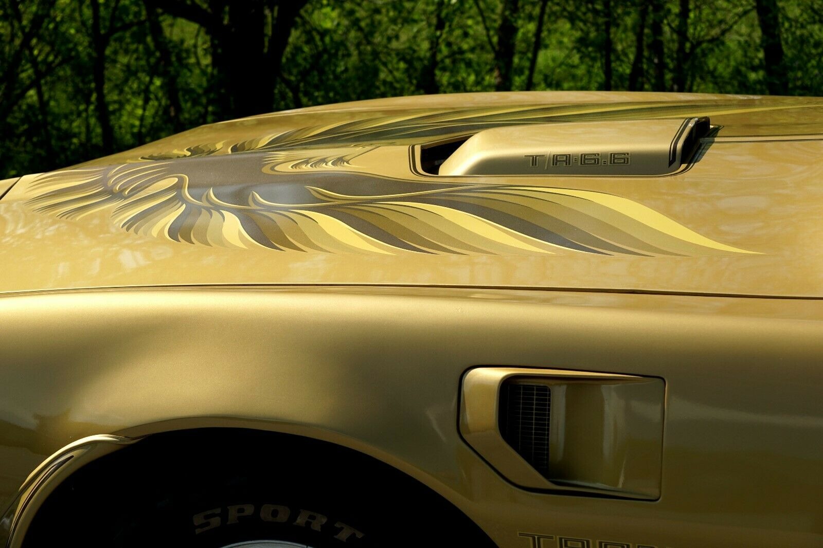 Used 1978 Pontiac Trans Am -SE MODEL-T TOPS-FROM NEW MEXICO- 6.6 400CI- | Mundelein, IL