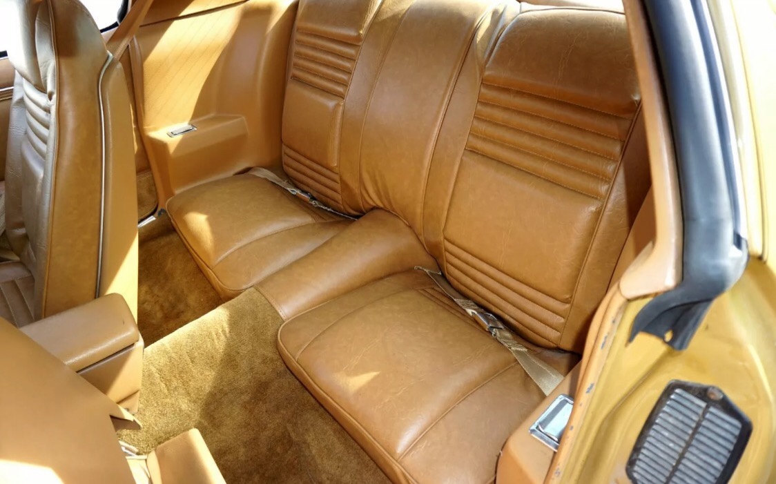 Used 1978 Pontiac Trans Am -SE MODEL-T TOPS-FROM NEW MEXICO- 6.6 400CI- | Mundelein, IL