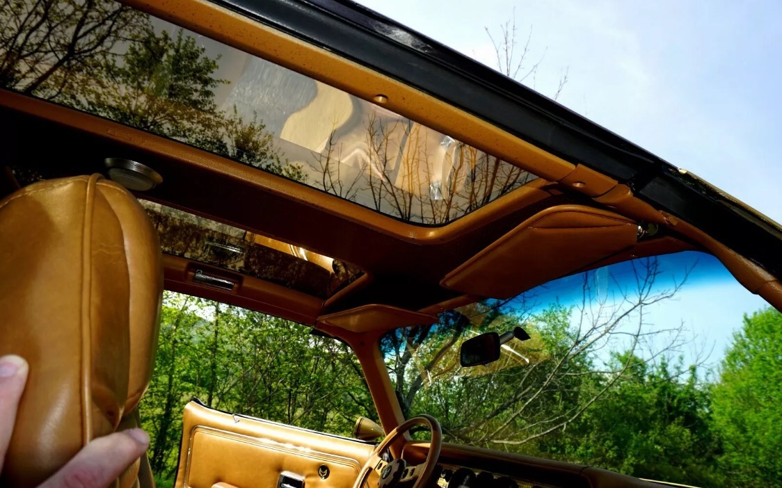 Used 1978 Pontiac Trans Am -SE MODEL-T TOPS-FROM NEW MEXICO- 6.6 400CI- | Mundelein, IL