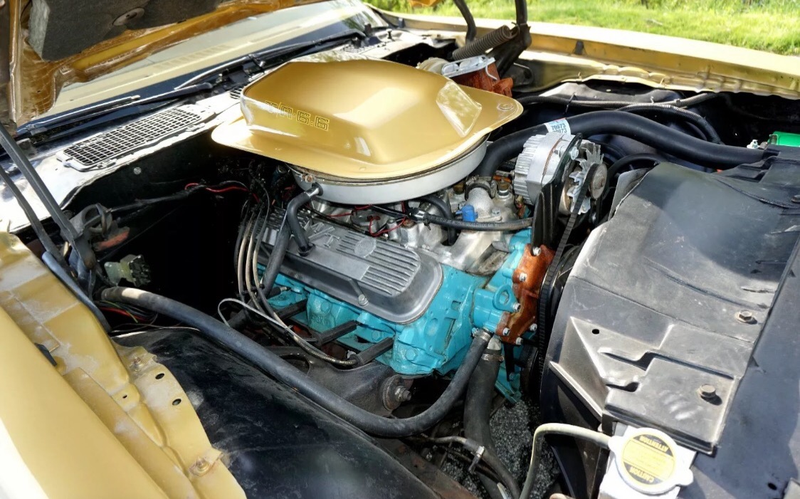 Used 1978 Pontiac Trans Am -SE MODEL-T TOPS-FROM NEW MEXICO- 6.6 400CI- | Mundelein, IL