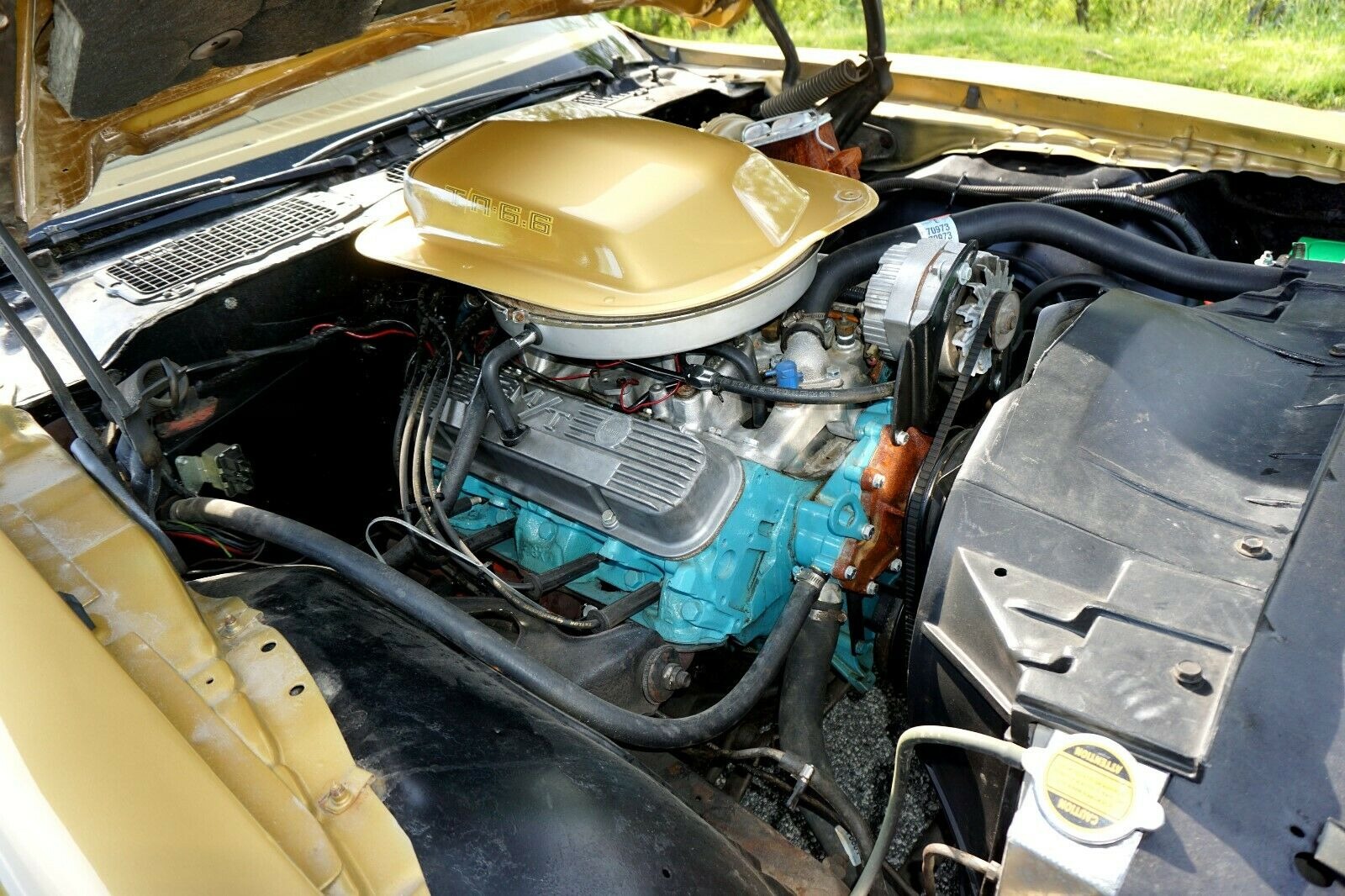 Used 1978 Pontiac Trans Am -SE MODEL-T TOPS-FROM NEW MEXICO- 6.6 400CI- | Mundelein, IL